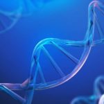 New Toolkit May Repair DNA Breaks Linked to Aging and Cancer