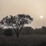 As Threats Rise, African Scientists Delve Into Climate Change Health Impacts