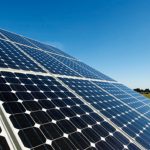 Cherry Trees and Carbon Neutrality: Lg Solar Targets Recycling Boost as Part of 2030 Net Zero Goal