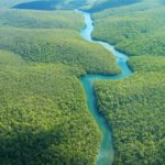 Climate Crisis: Tropical Rainforest ‘Tipping Point’ Identified as Scientists Call for Immediate Action to Tackle Global Warming