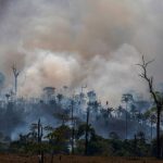 Coronavirus: Amazon Deforestation Could Trigger New Pandemics, Experts Warn Amid Fears Over Brazilian Land Ownership Law