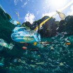 Ocean Plastic Could Triple By 2040 and Outnumber Fish By 2050, Study says