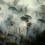 Amazon Fires: Huge Surge in Blazes Recorded Amid Growing Concern of Repeat of Last Year’s Destruction