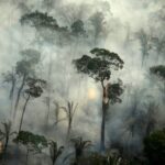 Amazon Region: Brazil Records Big Increase in Fires