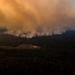 Brazil Fires Burn World’s Largest Tropical Wetlands at ‘Unprecedented’ Scale