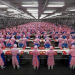 Foxconn is working with Google to replace workforce with robots