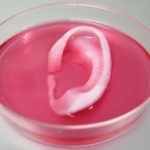 Scientists Just 3D Printed A Transplantable Human Ear