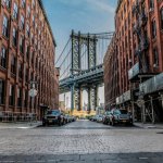 New York invests $25m in SOSV’s IndieBio to fuel life sciences ambitions