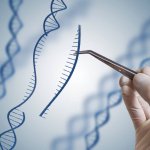 FDA lifts hold on first-ever CRISPR/Cas9 gene-editing trial