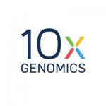 10x Genomics Acquires Spatial Transcriptomics