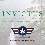 Invictus and CannAmerica Combine to Enter Hemp and CBD Market in the US