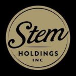 Stem Holdings Inc. Enters the Global Cannabis and Industrial Hemp Market With Acquisition of South African Ventures Inc.