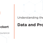 Understanding the Chains of Risk: Data and Products