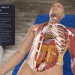 Elsevier Buys 3d Anatomy Technology Company 3d4medical