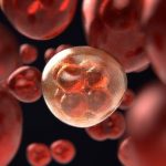 Notable Launches Observational Clinical Trial for Patients with Blood Cancer