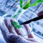 Covid-19 Impact on Bio-pharma Market Report Analysis By Various Services, Offering, Platforms, Significant Growth, Competitive Insights, Business Strategy Opportunities & Demand Analysis Till 2026