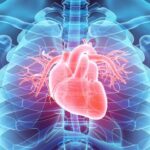 DiNAQOR Acquires EHT Technologies GmbH to Advance Engineered Heart Tissue R&D Capabilities