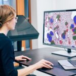 Aiforia Partners with Pathan to Bring Artificial Intelligence Assisted Diagnostics to the Pathology Lab