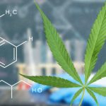 InMed Pharmaceuticals Completes Acquisition of BayMedica Creating a Market Leader in the Manufacturing of Rare Cannabinoids