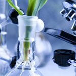 Global Life Science and Chemical Instrumentation Market Size 2021 Growing Rapidly with Modern Trends, Development Status, Investment Opportunities, CAGR of 5.3%, Revenue, Demand and Forecast to 2026 Says Industry Research Biz