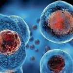 Global Cell and Gene Therapy Manufacturing Services Market Report 2021-2027 – Rising Incidence of Cancer Coupled with the Increasing R&D by Pharmaceutical Companies and Partnerships & Agreements