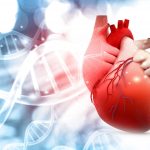 BioVentrix Expands Heart Failure Treatment Portfolio with Acquisition of MateraCor, Inc.