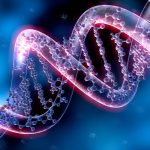 SomaLogic Acquires DNA Nanotechnology Leader Palamedrix to Develop the Next-Generation SomaScan® Assay