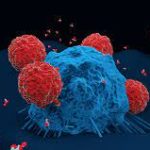 Sugar Molecules as a Target in Cancer Therapy