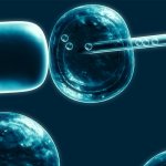 California Cryobank Stem Cell Services LLC Acquires Cord Blood America Inc.
