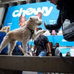 Chewy’s CFO to Expand Pet Products, Explores Monetizing Telehealth Services