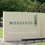 Monsanto weedkiller and GM maize in ‘shocking’ cancer study