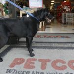 Petco trades private equity owners