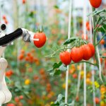 Whole Foods Supplier Embraces Robotic Farming